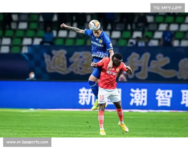 霍芬海姆哈伊达里停赛,后防线重组迎考验 霍芬海姆哈伊达里停赛,后防线重组迎考验